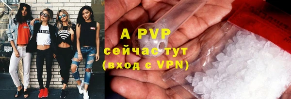 ГАЛЛЮЦИНОГЕННЫЕ ГРИБЫ Братск