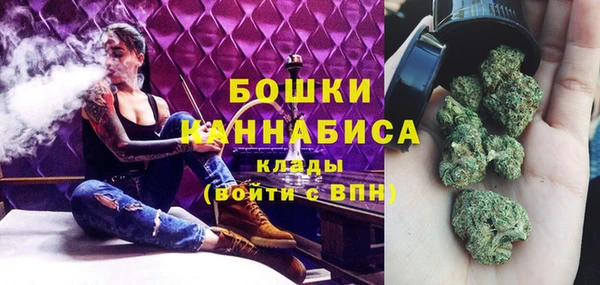 стафф Кулебаки