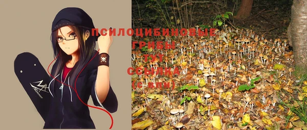 не бодяженный Ладушкин